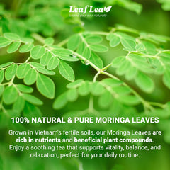 LeafLea foil-wrapped single tea bag close-up preserving freshness