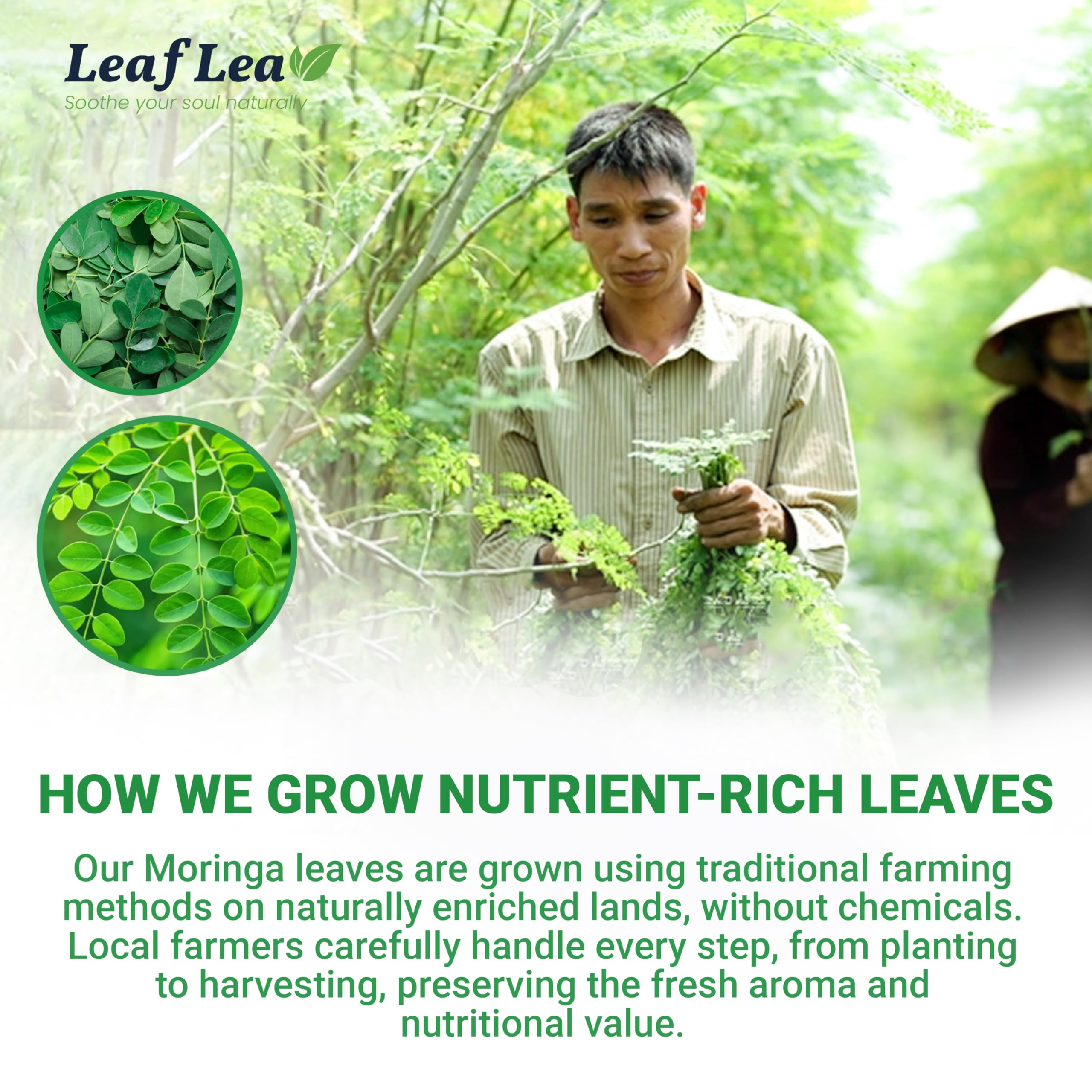 LeafLea paper tea bag material detail emphasizing plastic-free construction
