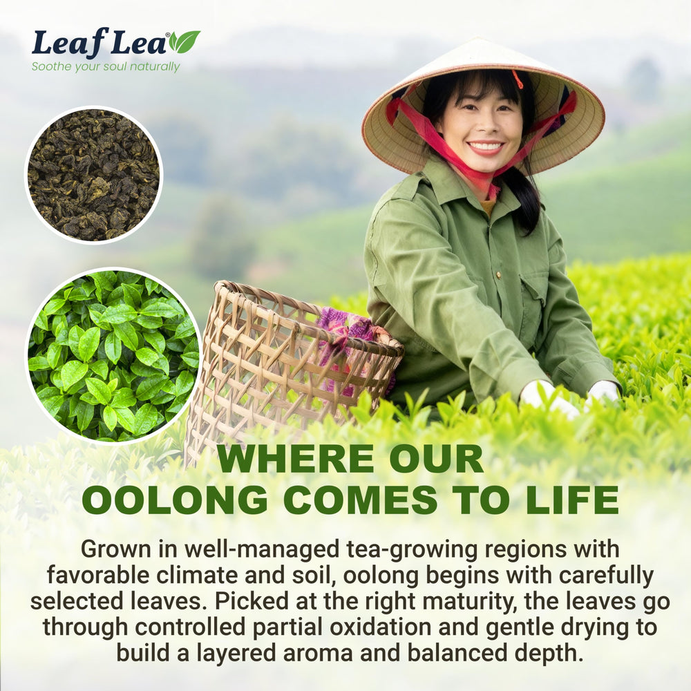 LeafLea label close view showing ingredient simplicity and transparent packaging