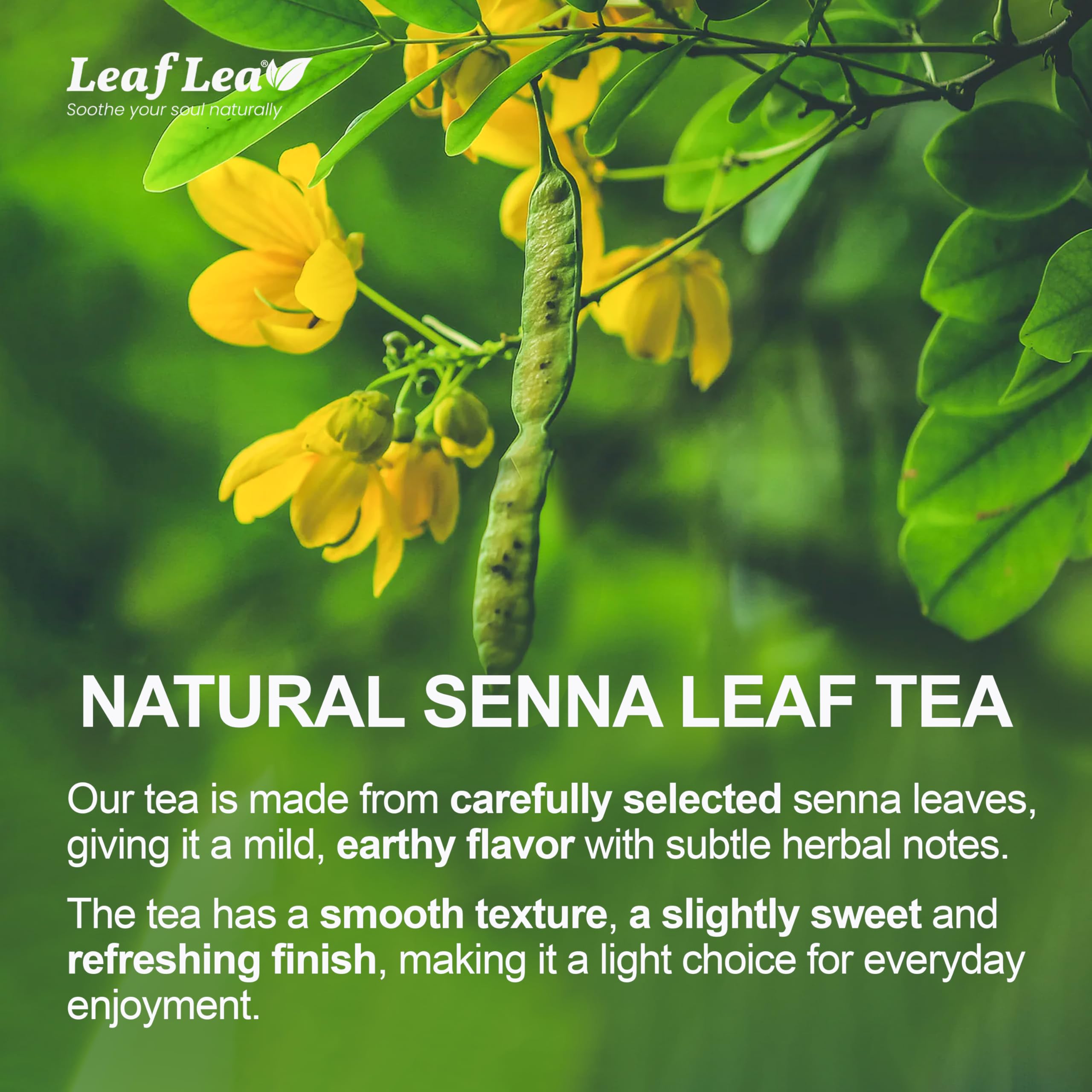 LeafLea individually foil-wrapped tea bag highlighting sealed freshness
