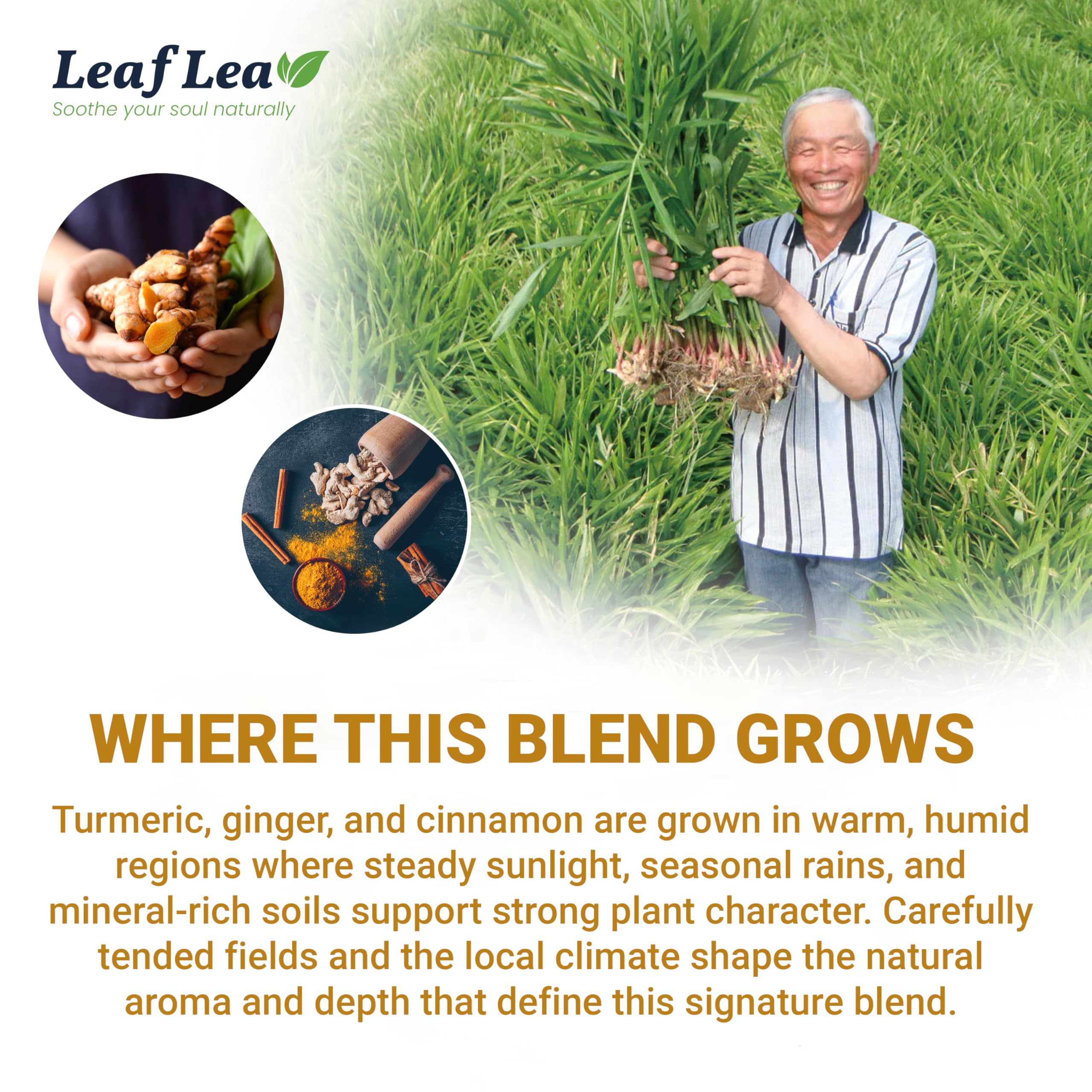 LeafLea tea bag held in hand for scale to show portion size and portability