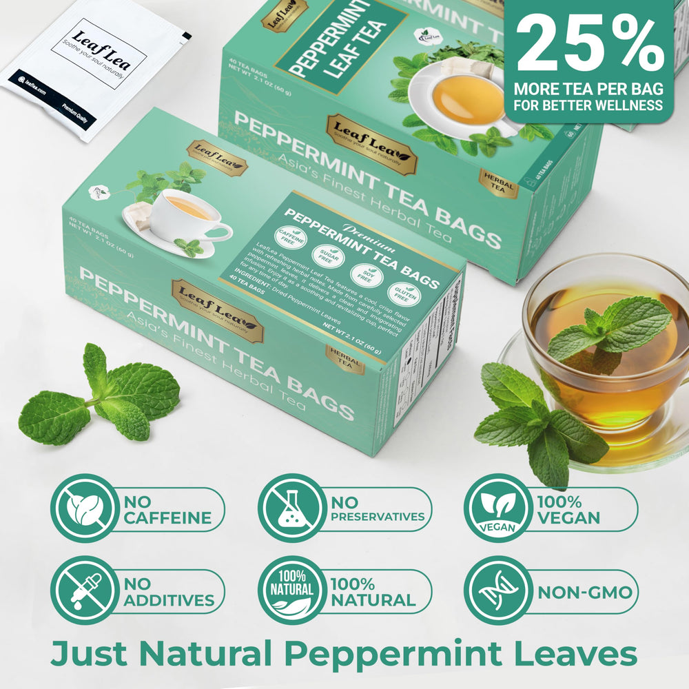LeafLea tea box beside a hand for scale showing compact portability