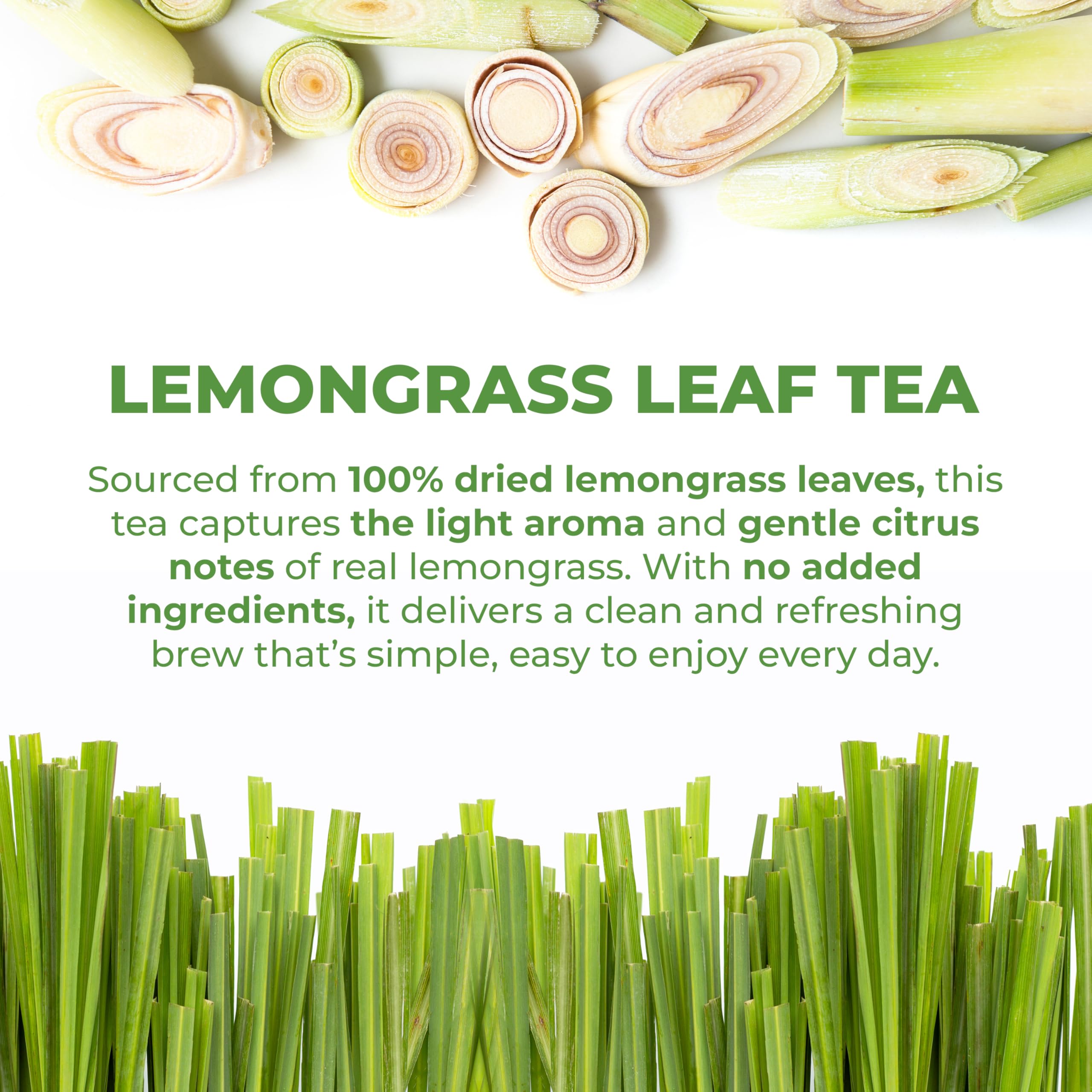 LeafLea tea bag close-up showing texture and clean paper filter benefit