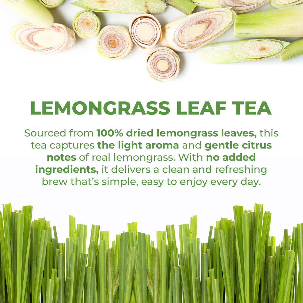 LeafLea tea bag close-up showing texture and clean paper filter benefit