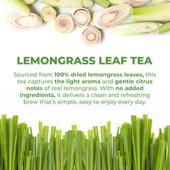 LeafLea tea bag close-up showing texture and clean paper filter benefit