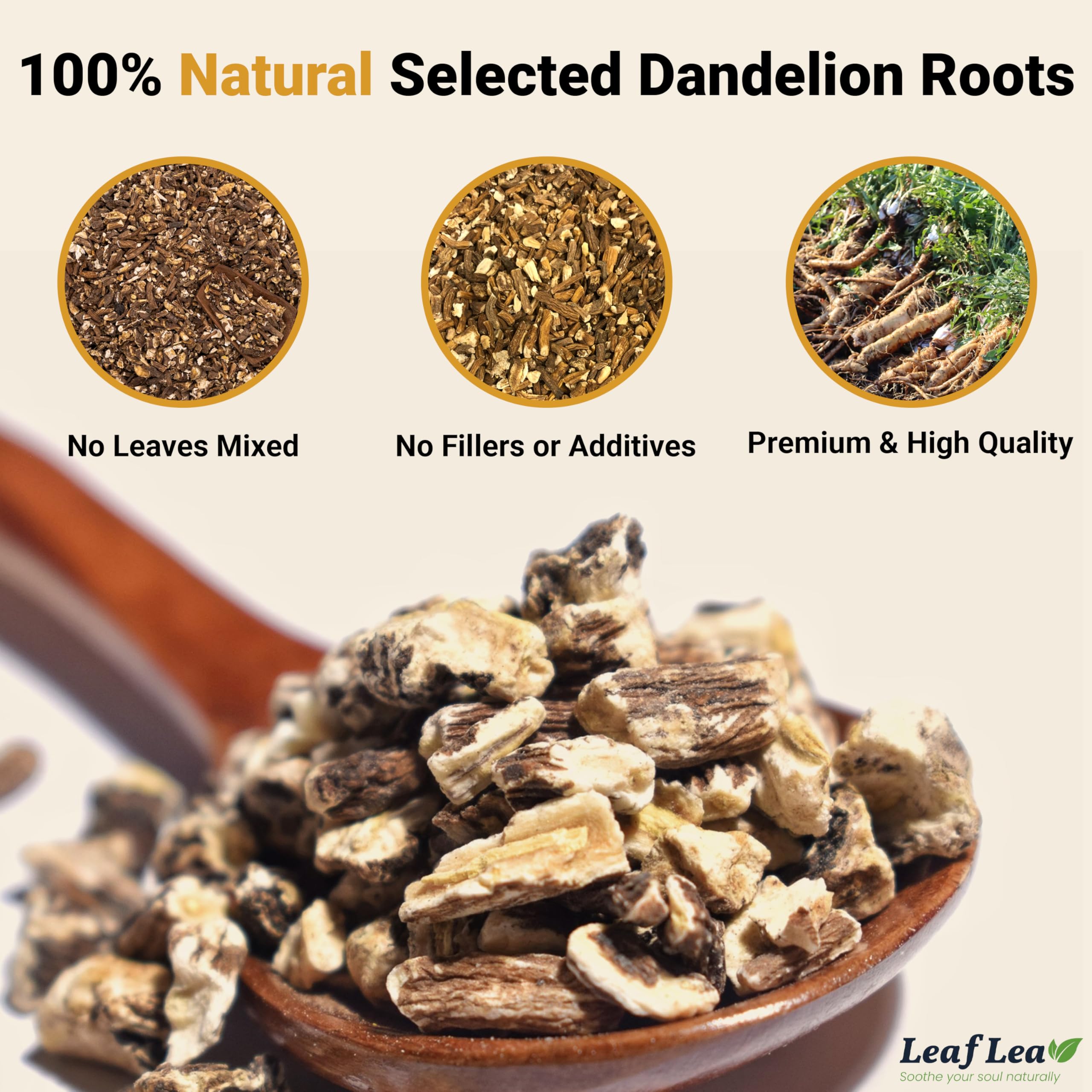 LeafLea close-up of ground dandelion root inside tea bag showing rich texture