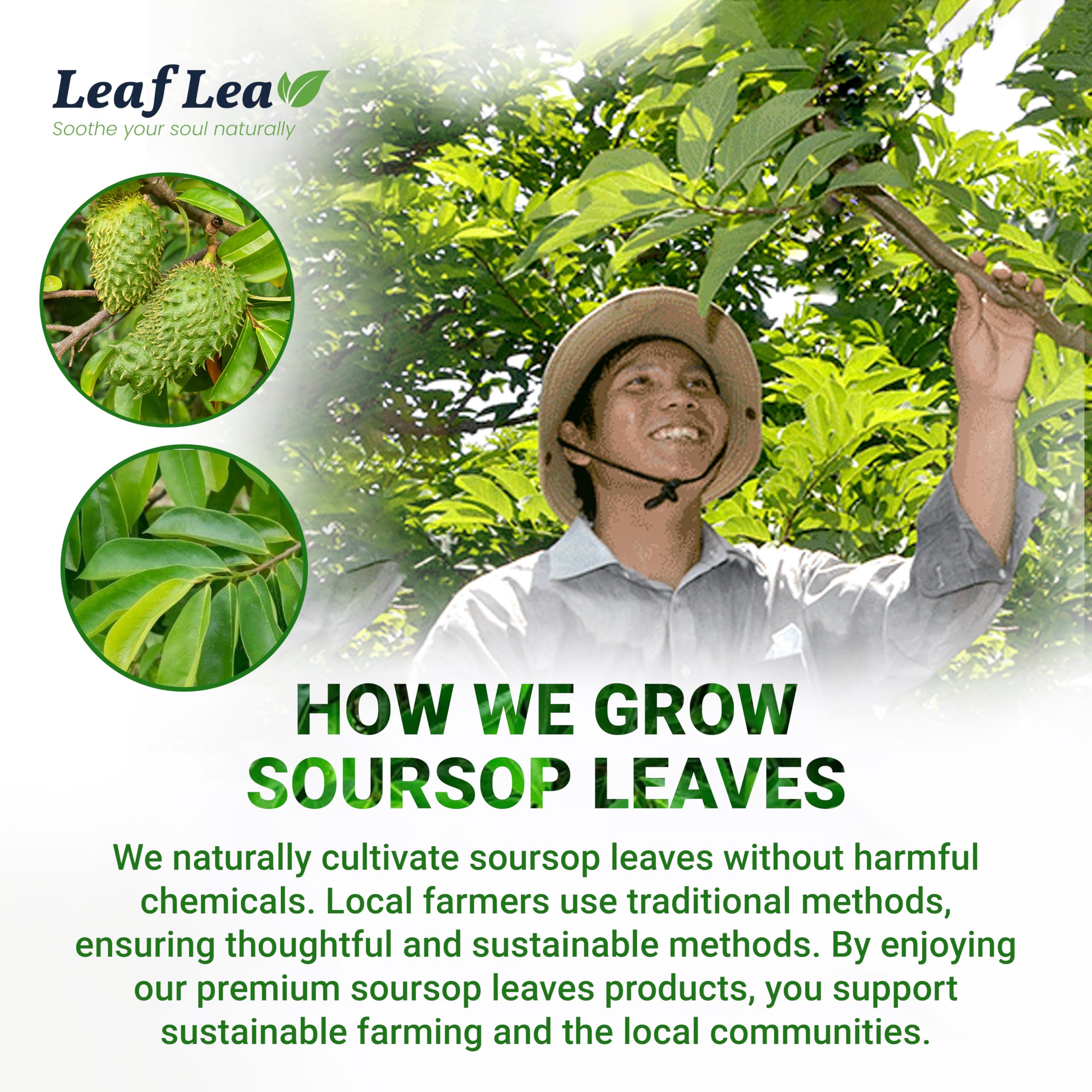 LeafLea iced soursop tea in glass illustrating refreshing cold beverage