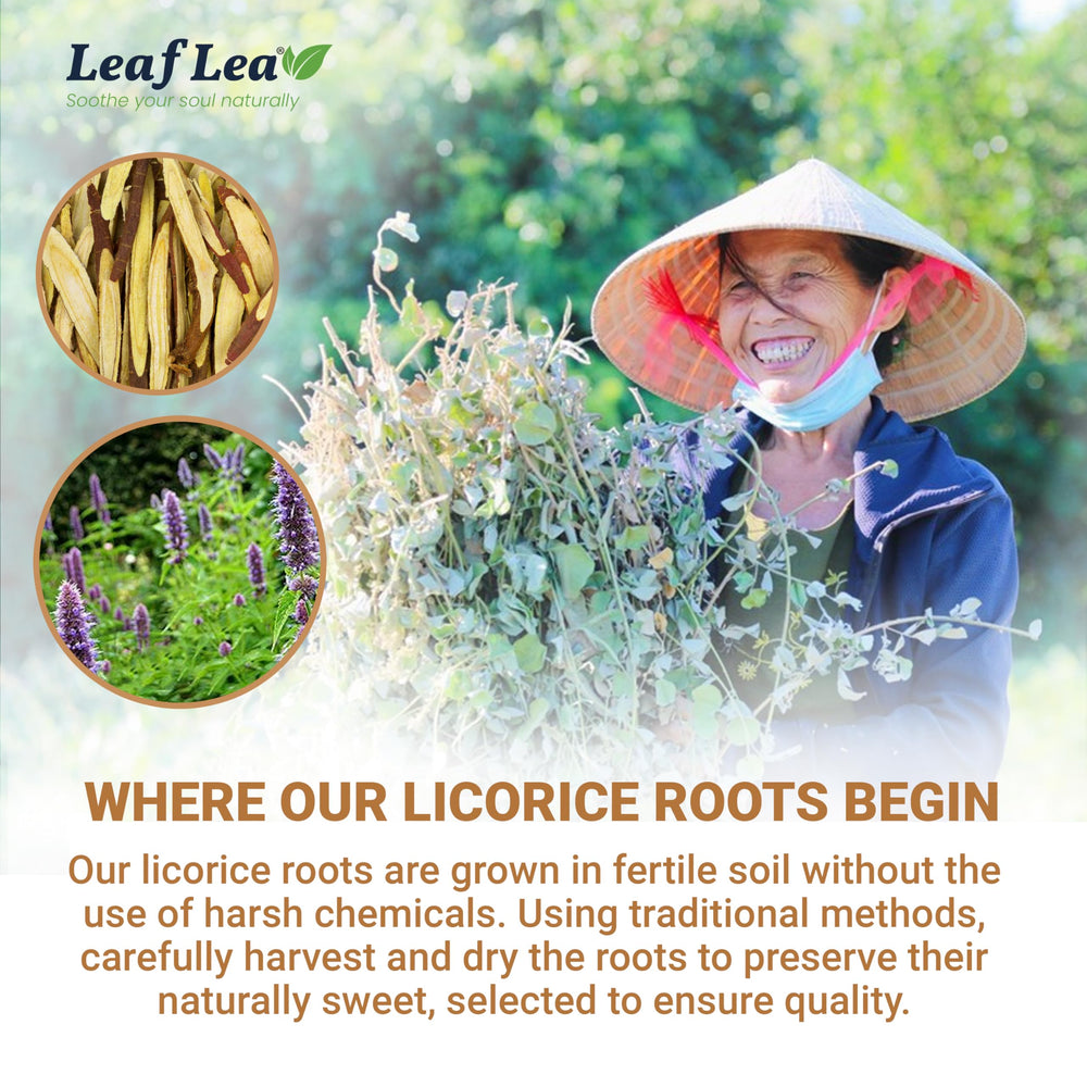 LeafLea unbleached paper filter detail emphasizing plastic-free brewing