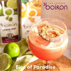 Les Vergers Boiron pouring passion fruit puree into a glass, ensures easy mixing