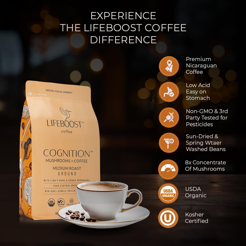 Lifeboost jar with Lion’s Mane and Chaga powder illustrating added nootropic benefit