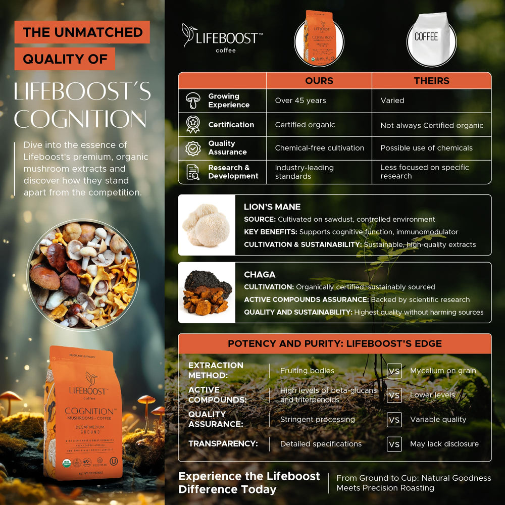 Lifeboost pour-over setup illustrating easy brewing and consistent taste