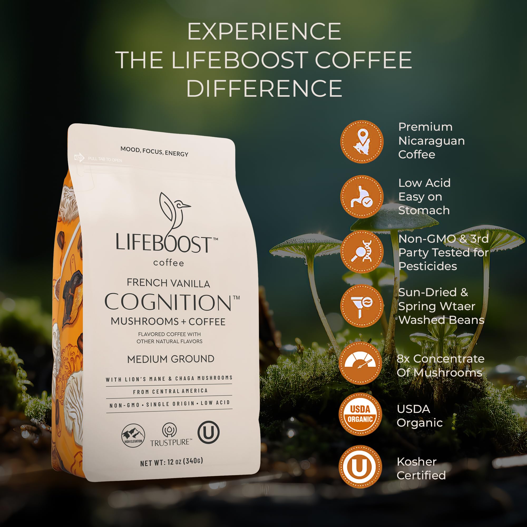 LIFEBOOST Lion's Mane and Chaga mushrooms displayed with beans showing functional ingredients