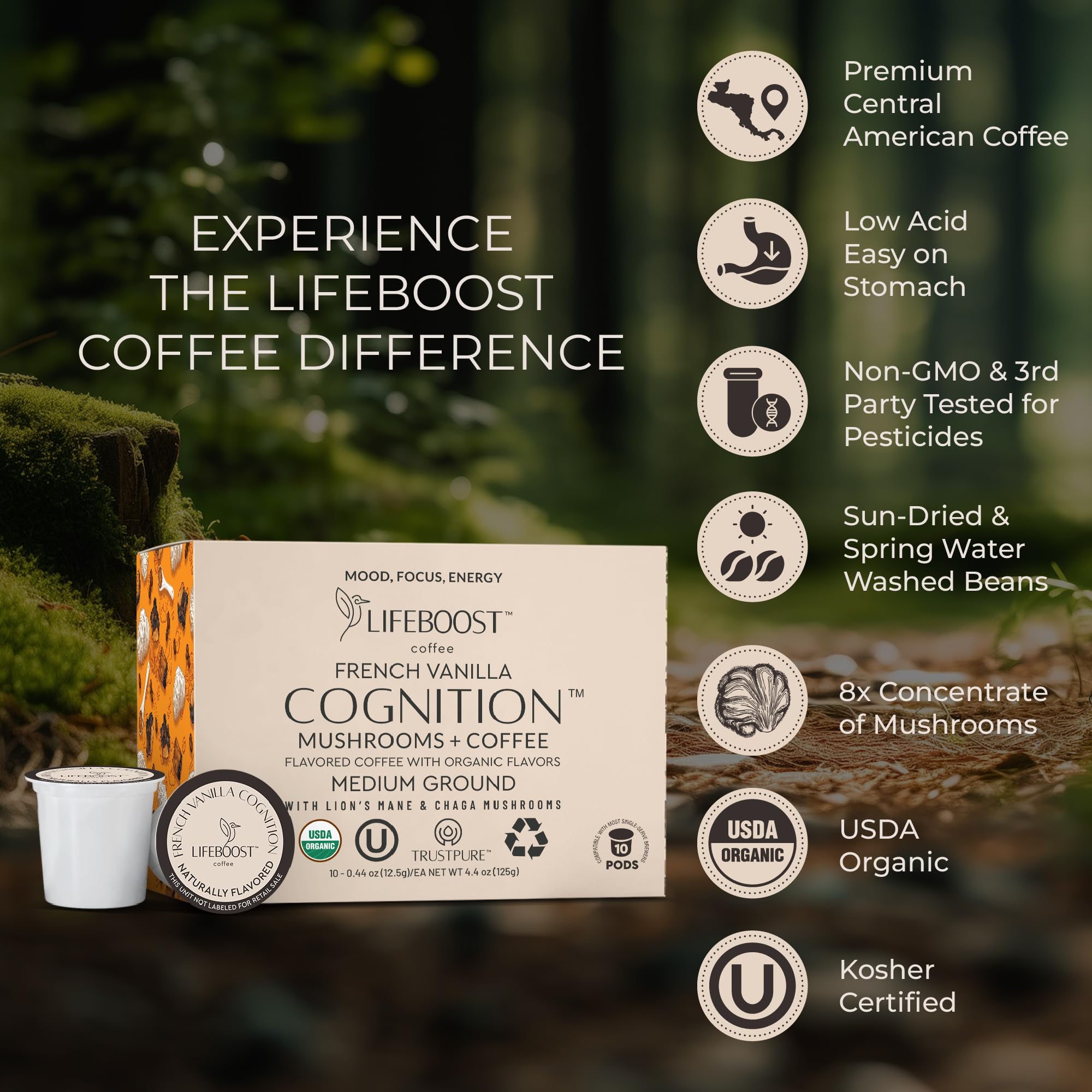 Arrangement of Lifeboost Lion’s Mane and Chaga ingredients highlighting functional blend