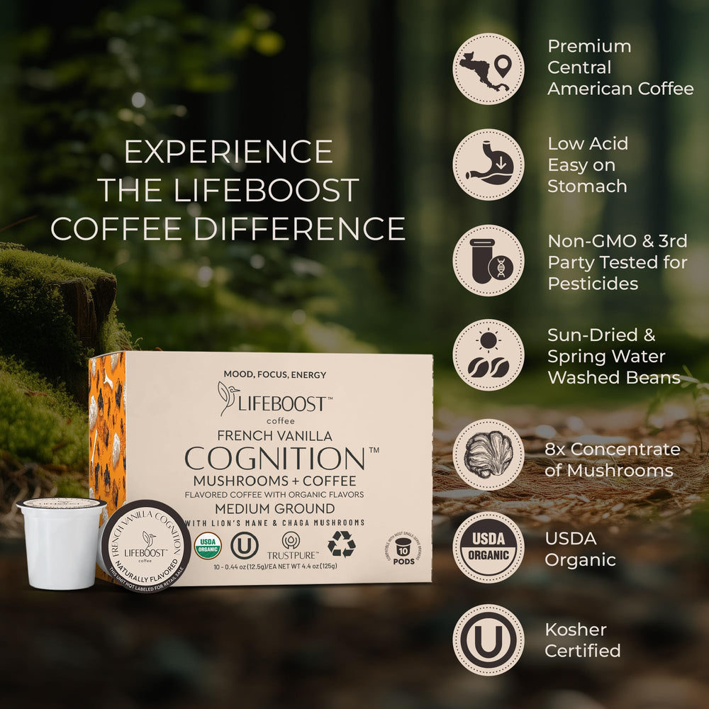Arrangement of Lifeboost Lion’s Mane and Chaga ingredients highlighting functional blend