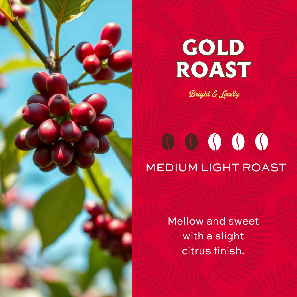 Lion Coffee close-up of Arabica bean texture highlighting premium bean quality