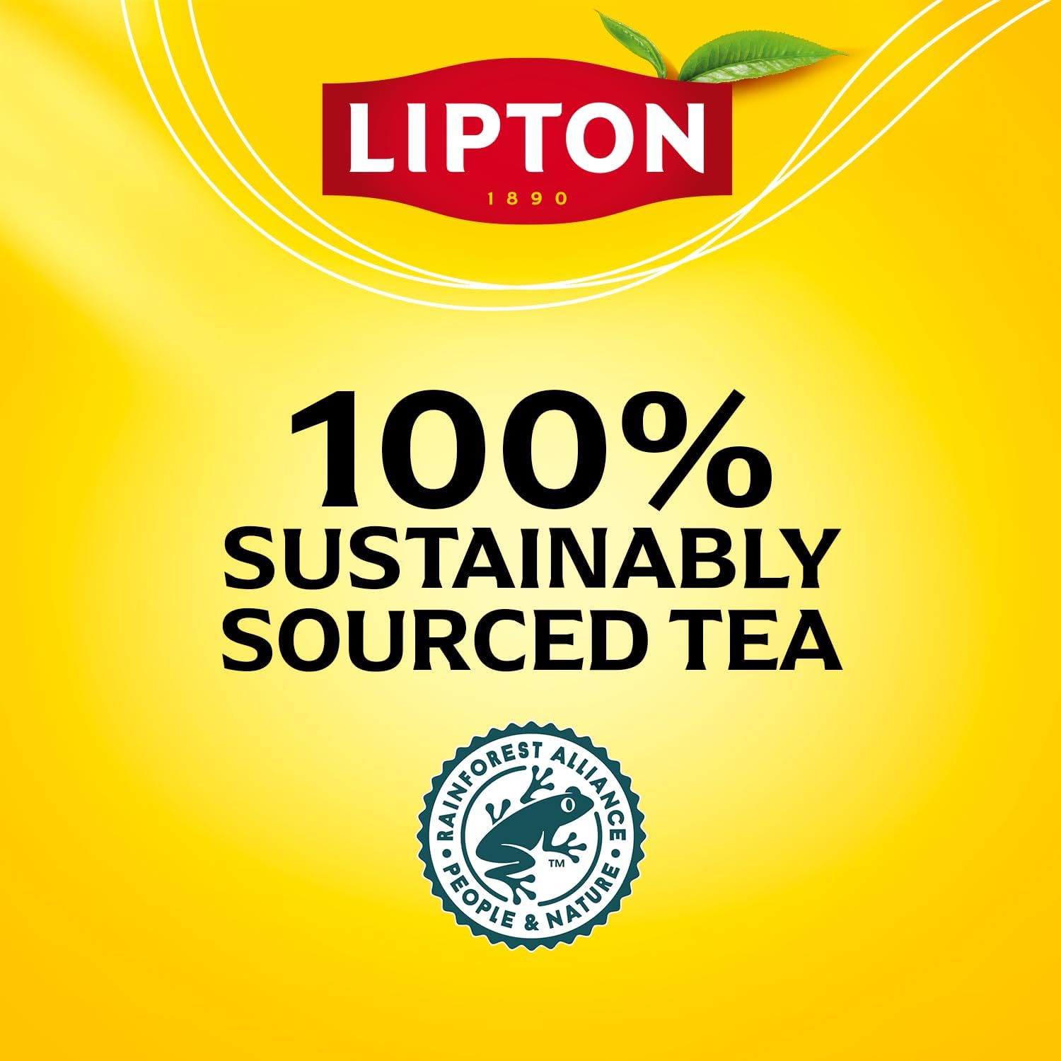 Lifestyle scene with Lipton decaf tea on a kitchen table for gatherings