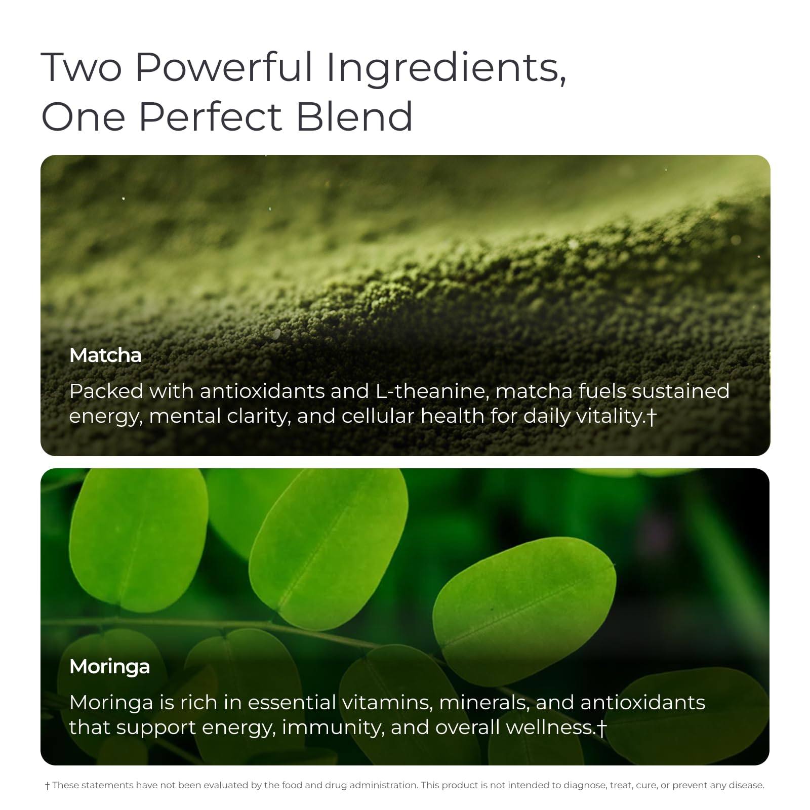 Livingood Daily ingredients display of matcha and moringa leaves highlighting plant-based nutrition