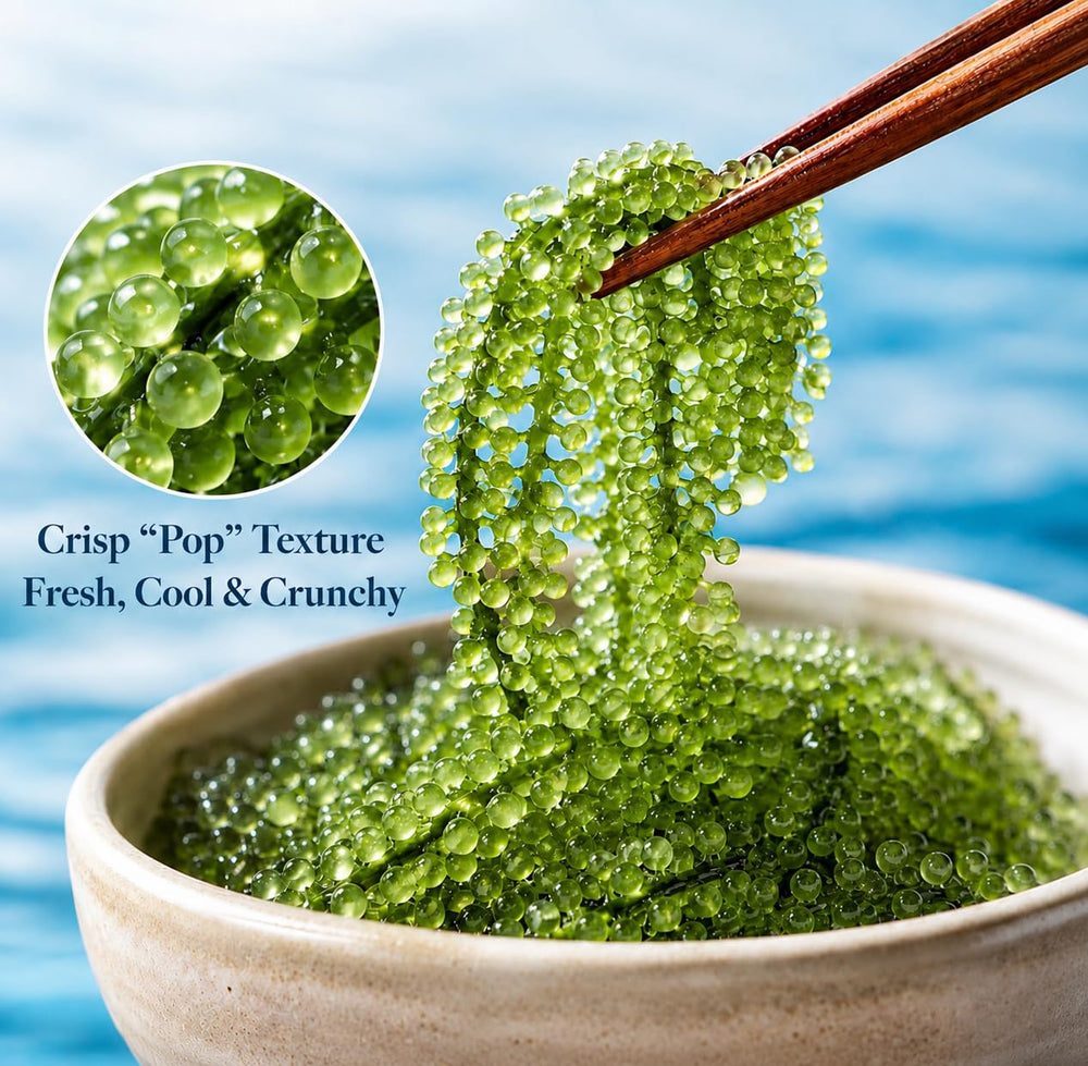LONGEVITY SEA GRAPES being rinsed to show easy preparation and fresh taste