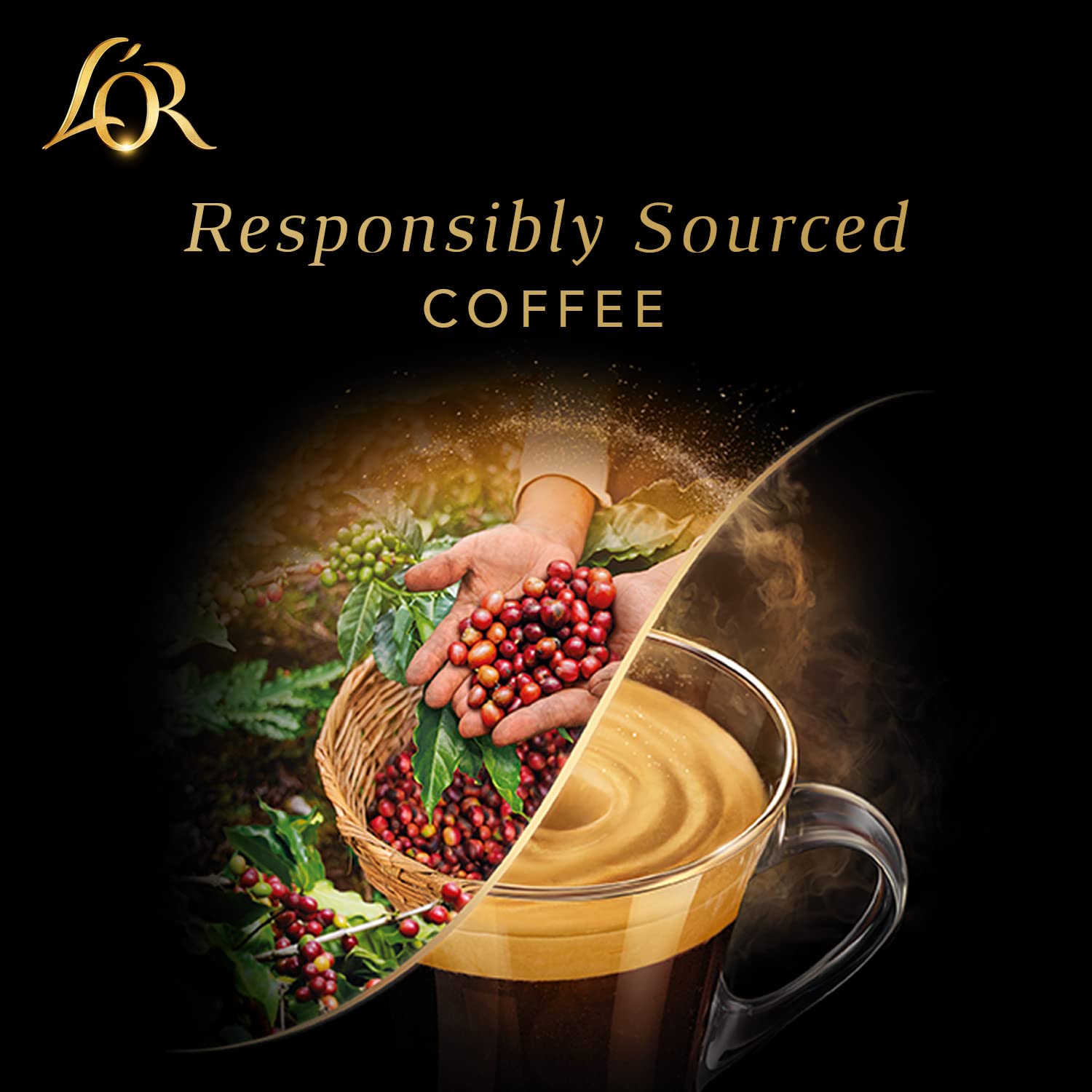 L'OR capsules arranged next to espresso cup illustrating served flavor