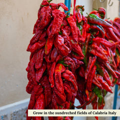 L'Oro Del Sud close-up of crushed flake texture highlighting bold spicy flavor
