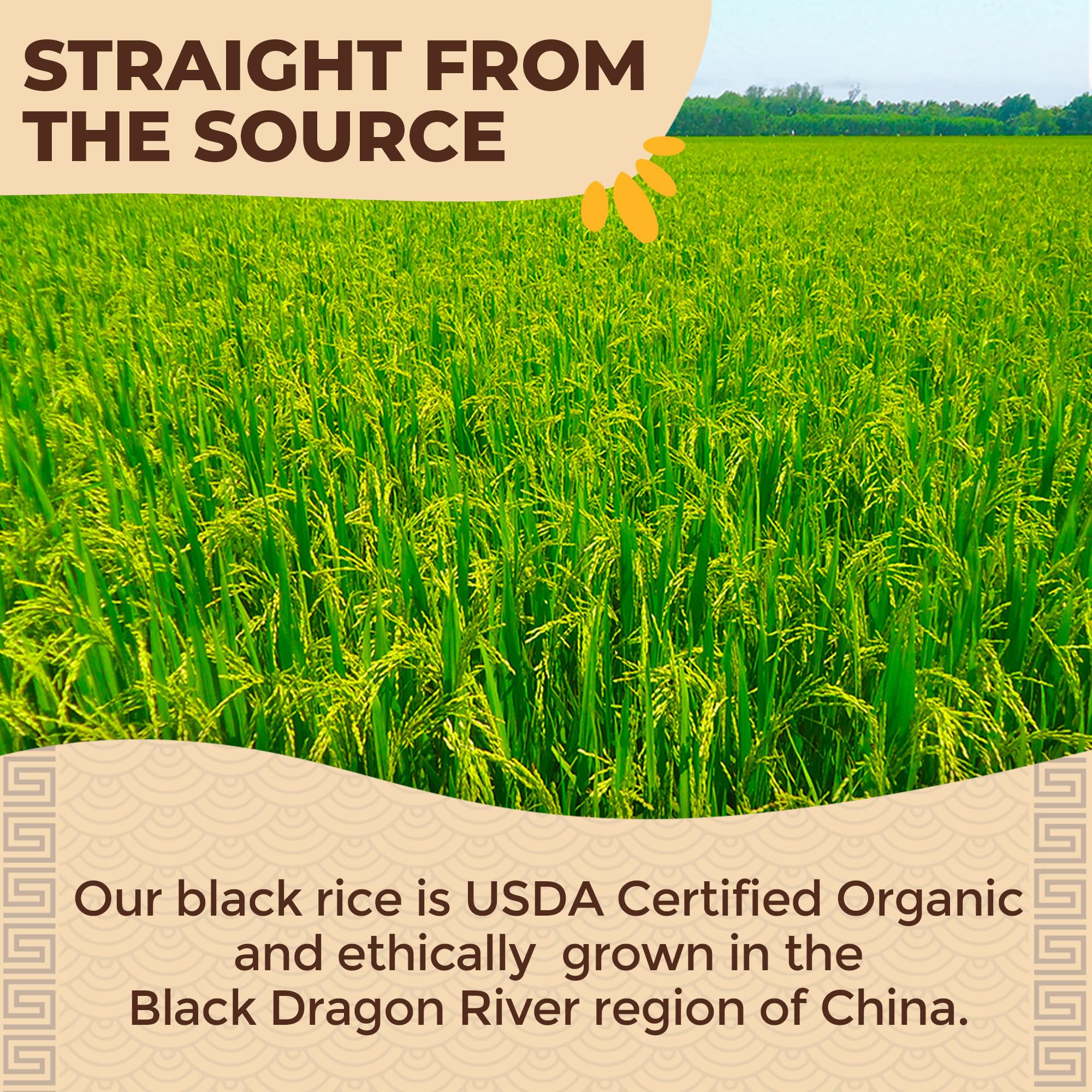 Lotus Foods product label with organic and Non-GMO certifications for trust