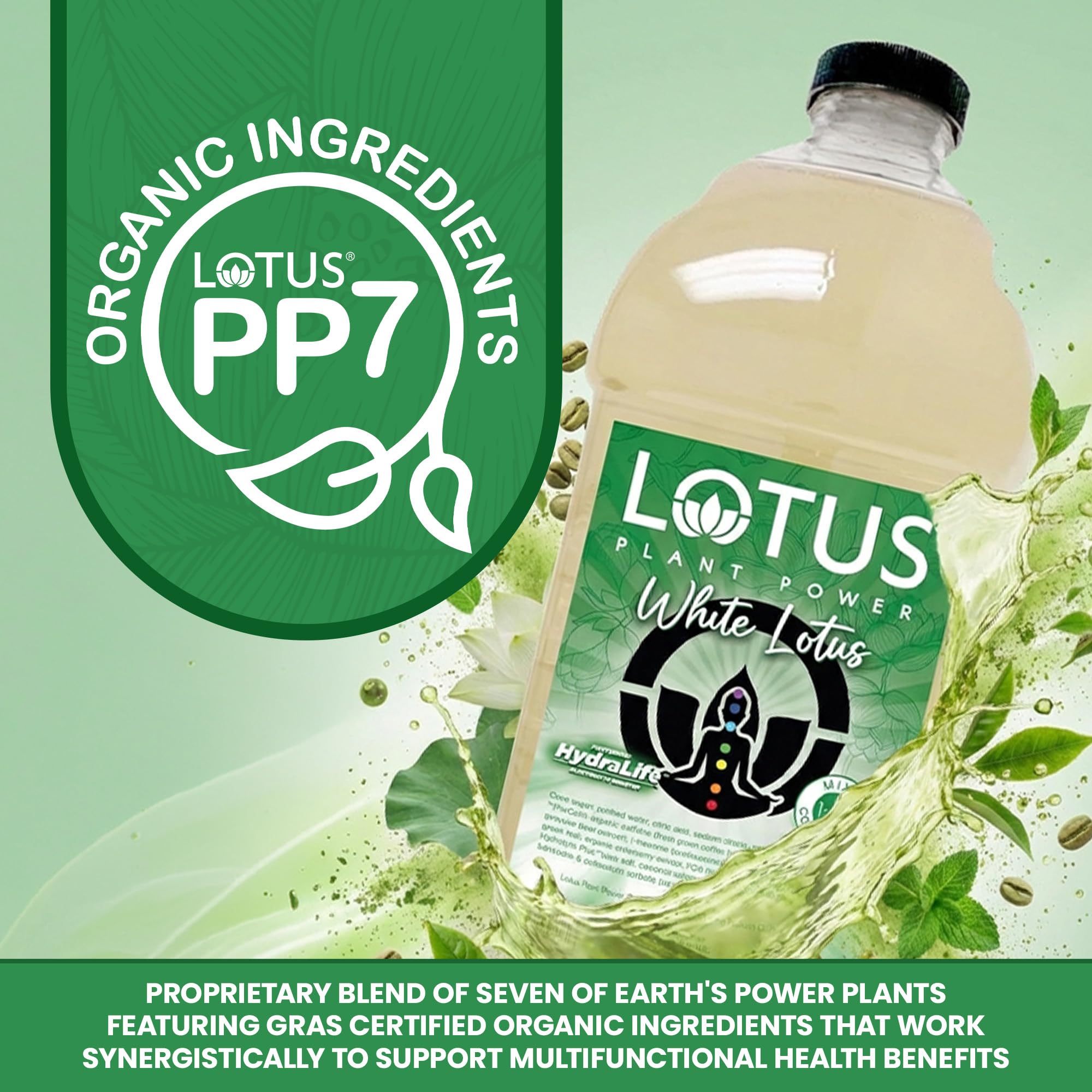 Lotus Plant Power concentrate texture in hand showing smooth, mixable consistency benefit