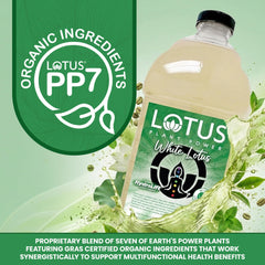 Lotus Plant Power concentrate texture in hand showing smooth, mixable consistency benefit