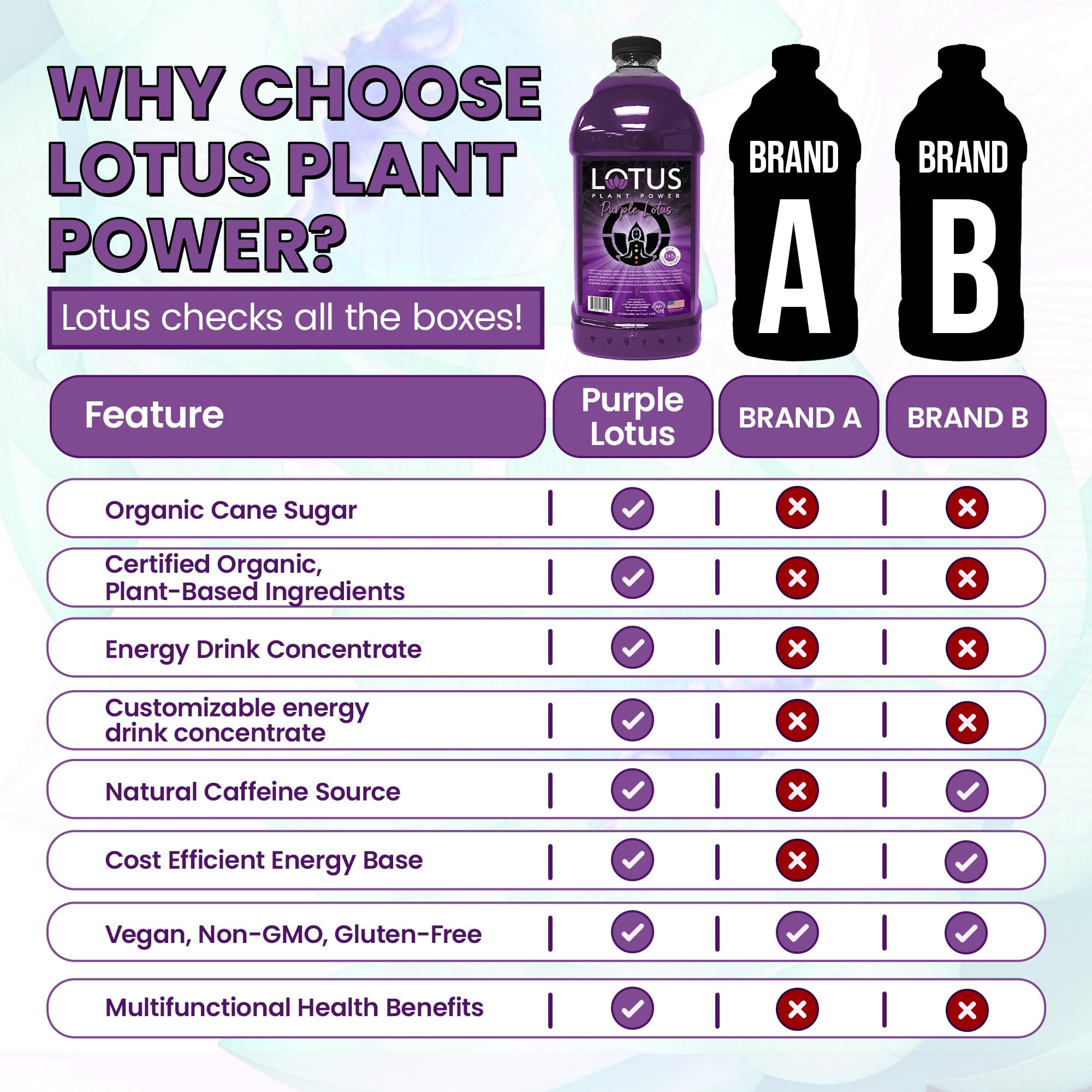 LOTUS PLANT POWER DRINK arranged botanicals showing PP7 ingredients and natural sourcing benefit