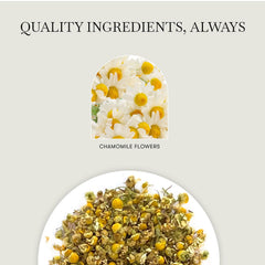 LUXMI close-up of whole chamomile flowers showing fresh texture