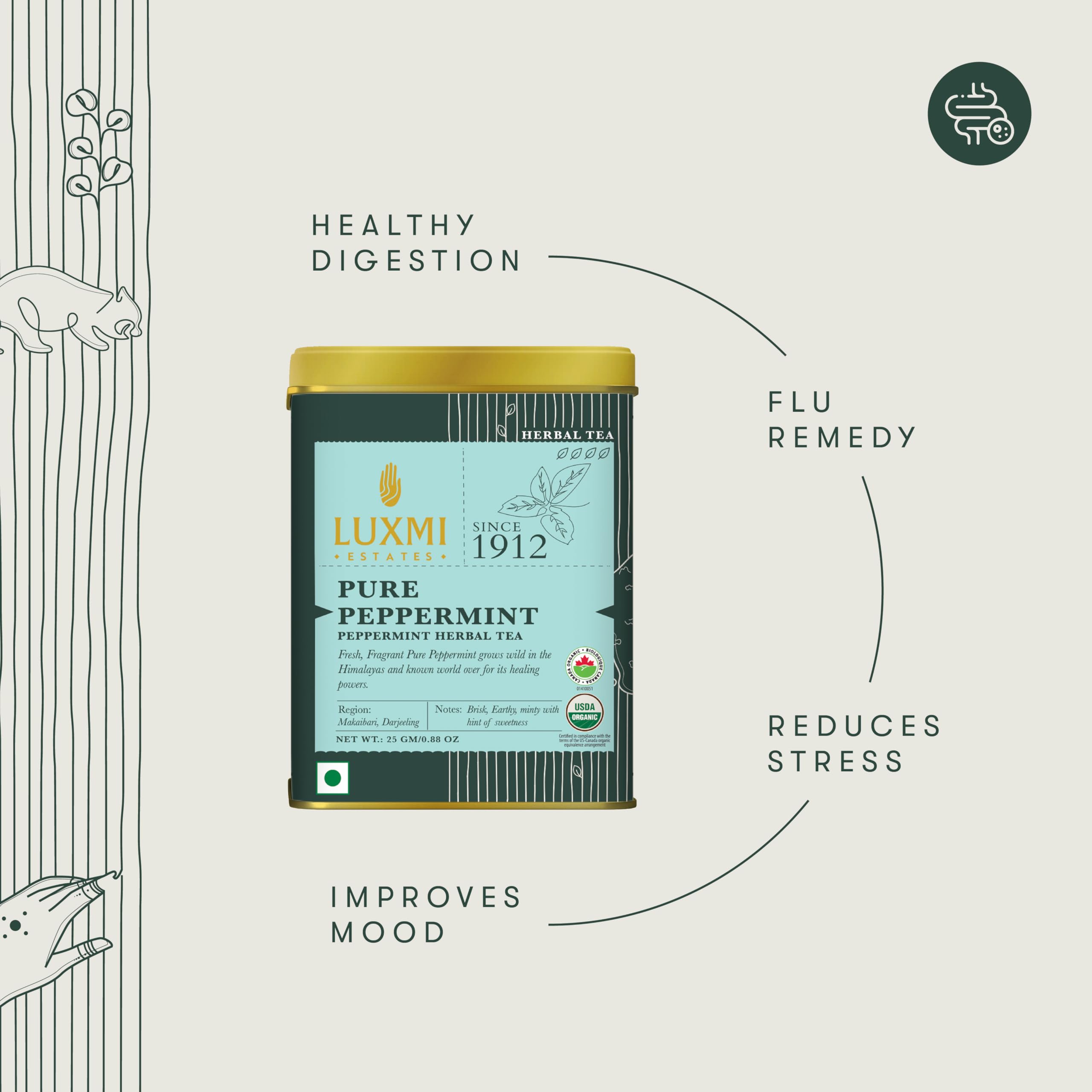 LUXMI close-up peppermint leaf texture highlighting freshness and quality