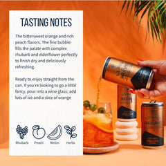 Lyre's cans in a beach bag illustrating portability and outdoor use