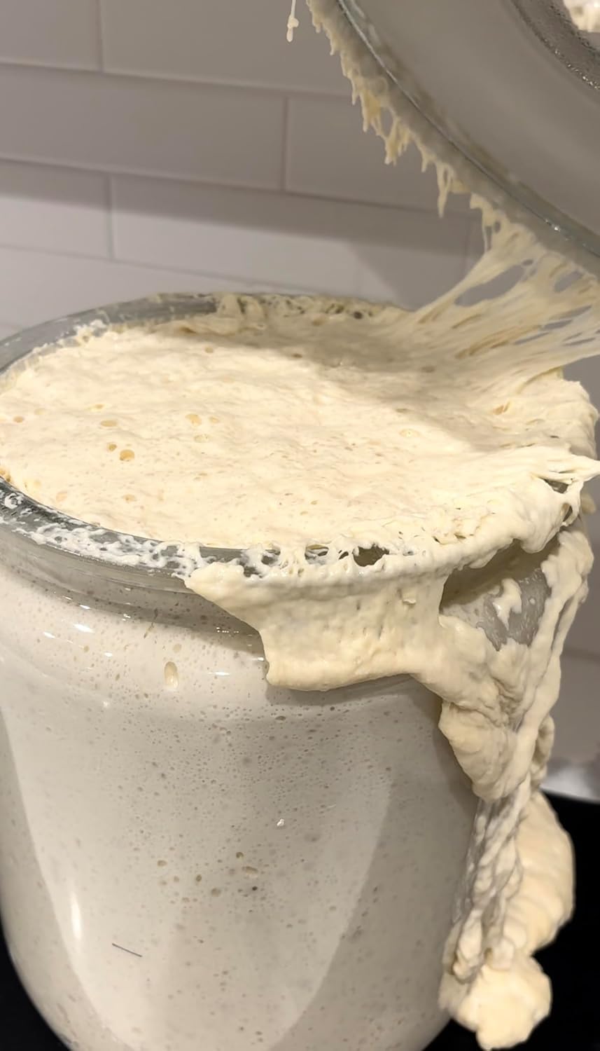 Made With Loave bubbly starter in jar demonstrating reliable fermentation