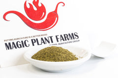 Magic Plant sprinkled on grilled fish in a kitchen setting, showcasing brightening and finishing benefit