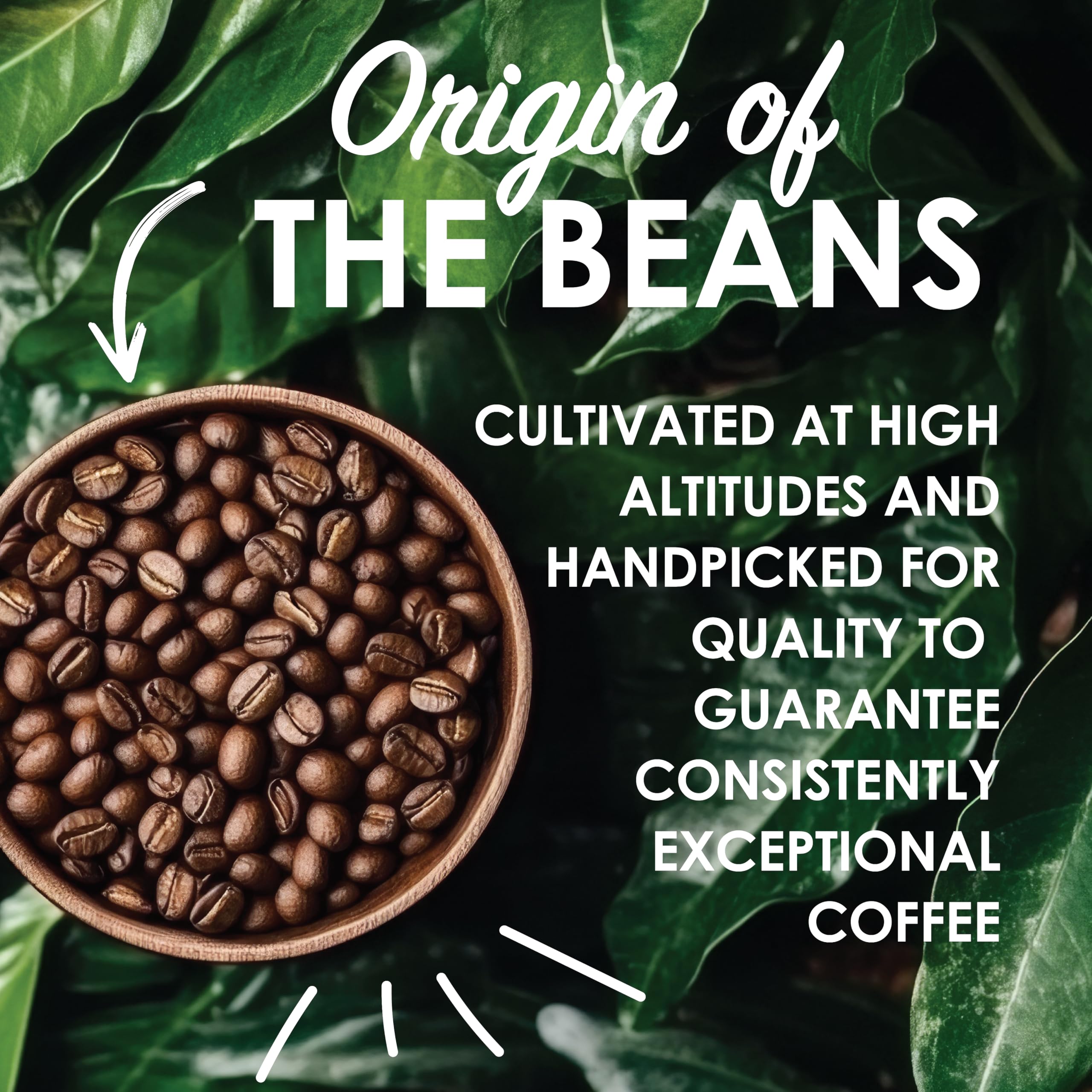 Magnum Exotics label close-up showing organic certification and origin