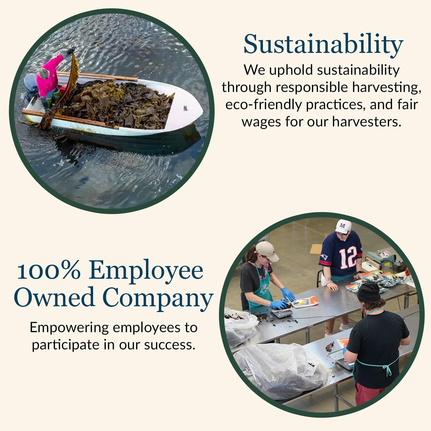 Maine Coast Sea Vegetables ground kelp flakes used as low-sodium seasoning