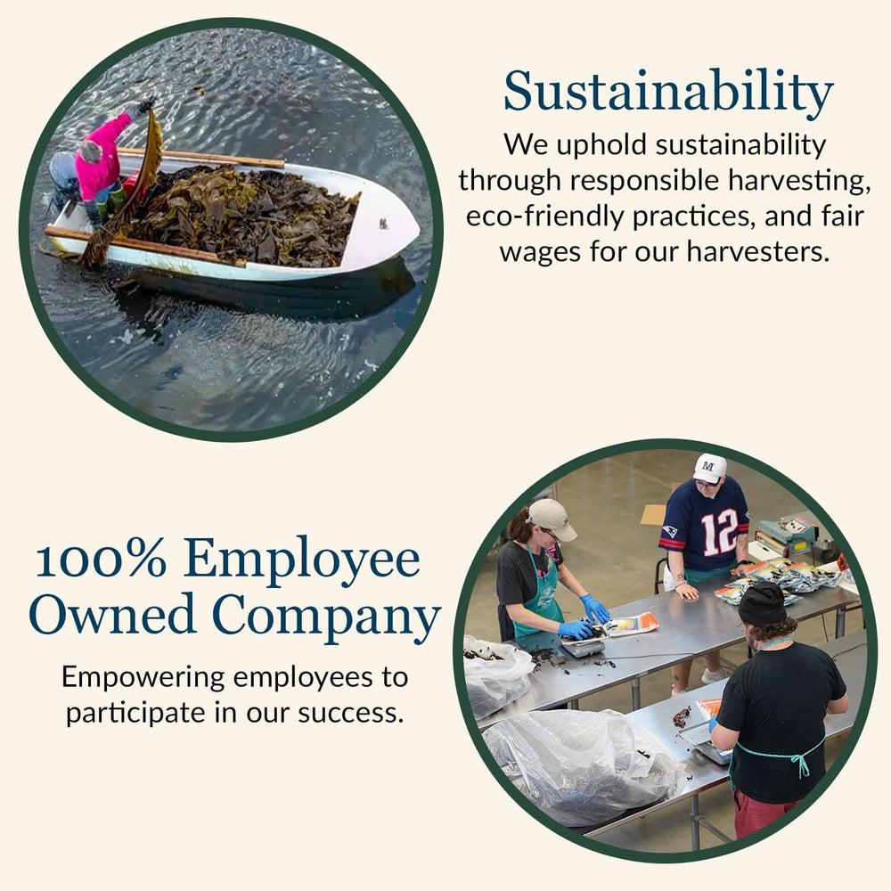 Maine Coast Sea Vegetables ground kelp flakes used as low-sodium seasoning
