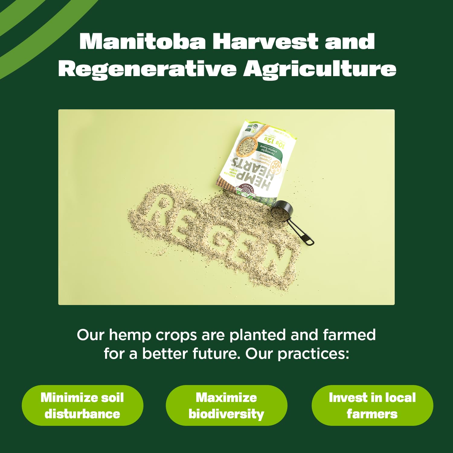 Manitoba Harvest hemp hearts in spoon ready to add plant protein instant boost