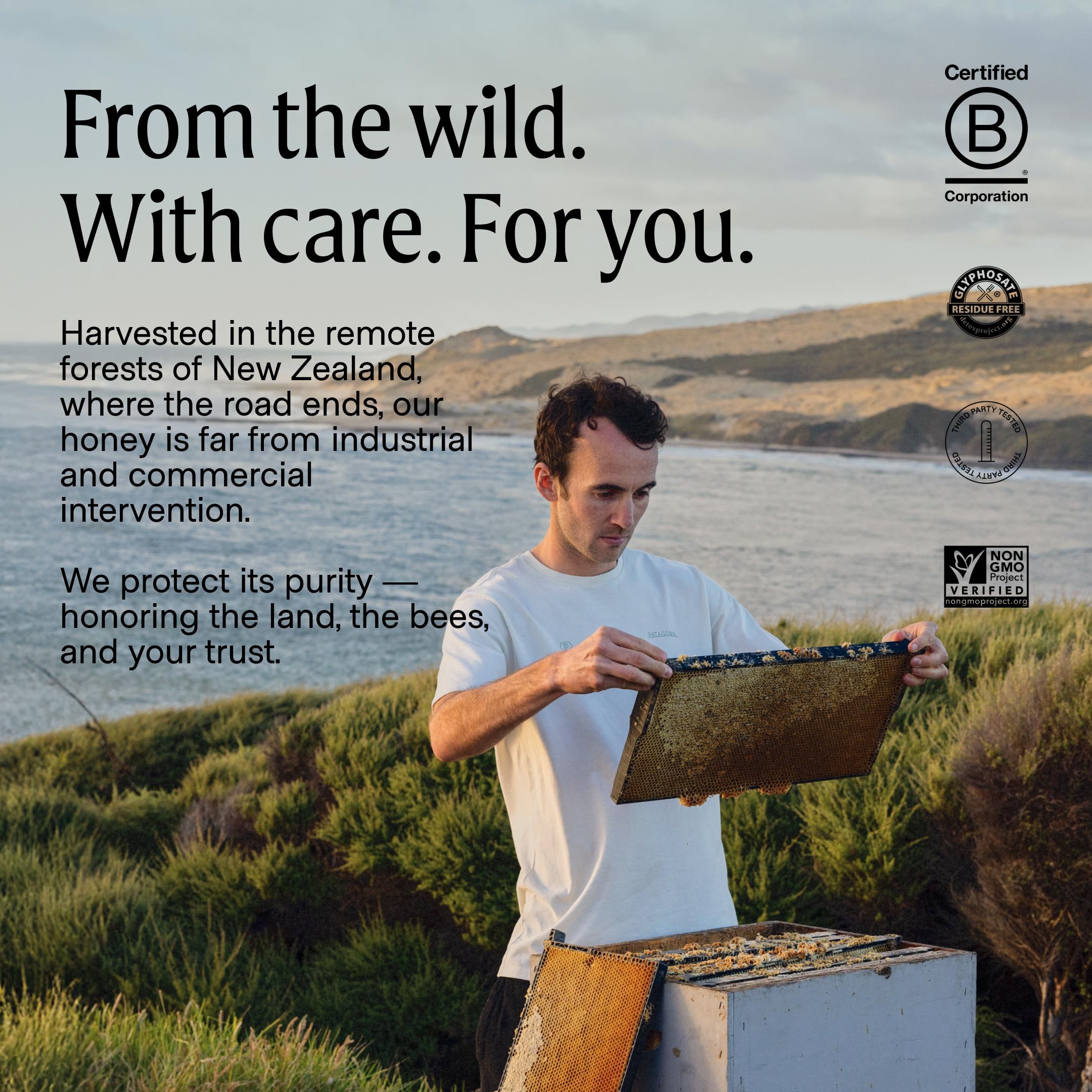 Manukora beehives in Manuka forest demonstrating ethical sourcing