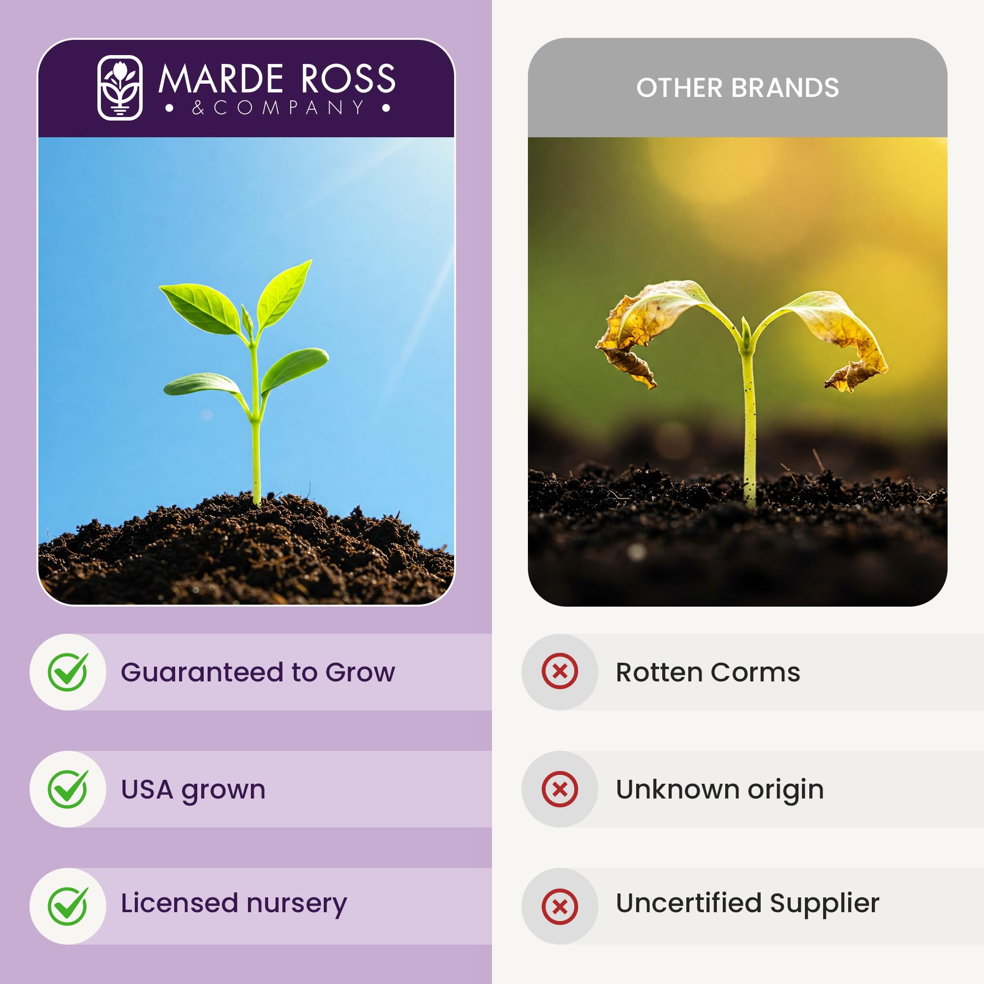 Marde Ross & Company product label and planting instructions for simple step-by-step guidance
