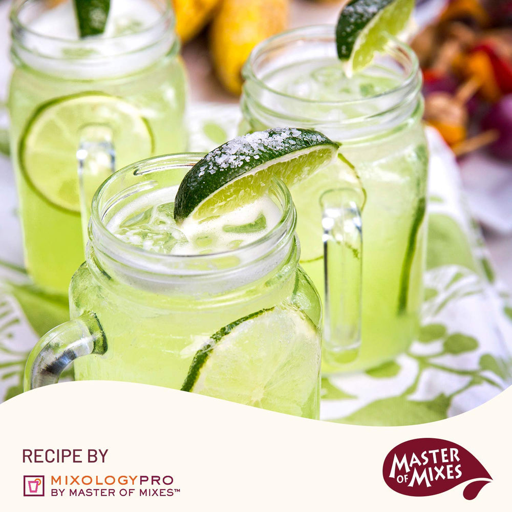 MASTER OF MIXES blended frozen margarita in glass showing smooth texture and flavor
