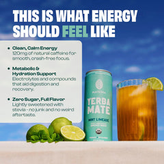 Mateina close-up of ingredients label showing organic yerba mate clarity