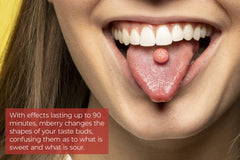 mberry tablet closeup texture visible and easy‑to‑dissolve benefit