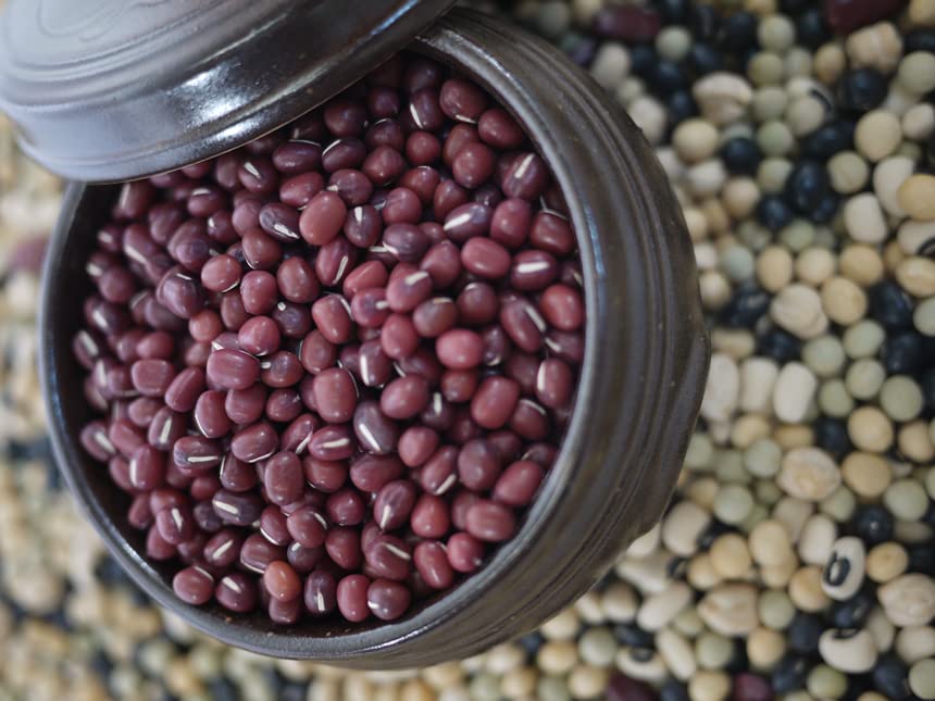 McCabe organic adzuki beans poured on spoon shows size and easy measuring benefit
