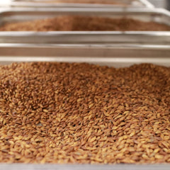 McCabe barley tea simmering in a pot to illustrate brewing steps and aroma