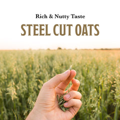 McCann's steel-cut oats close-up displaying hearty texture for satisfying bites