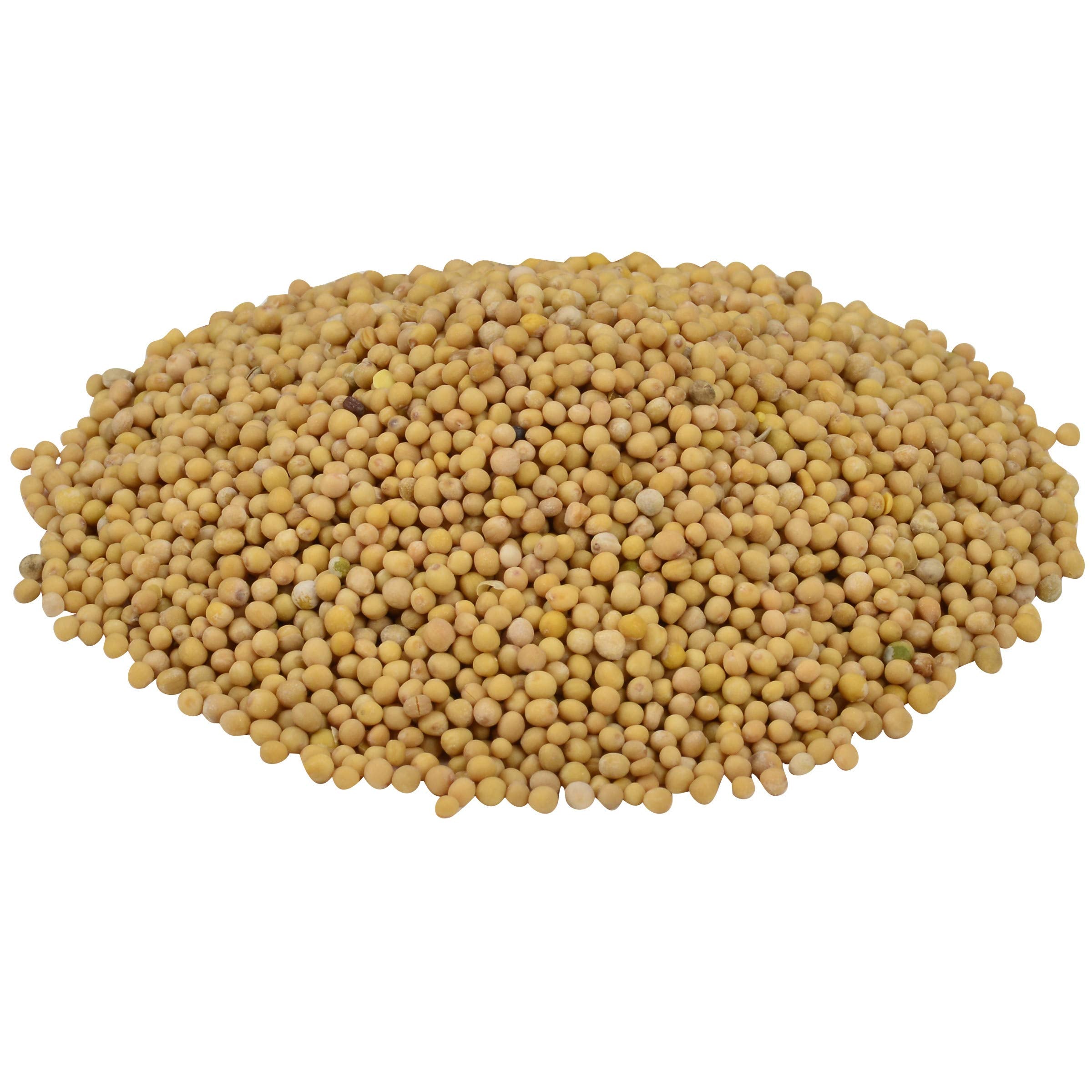 McCormick Culinary dry rub on board with seeds for bold barbecue seasoning