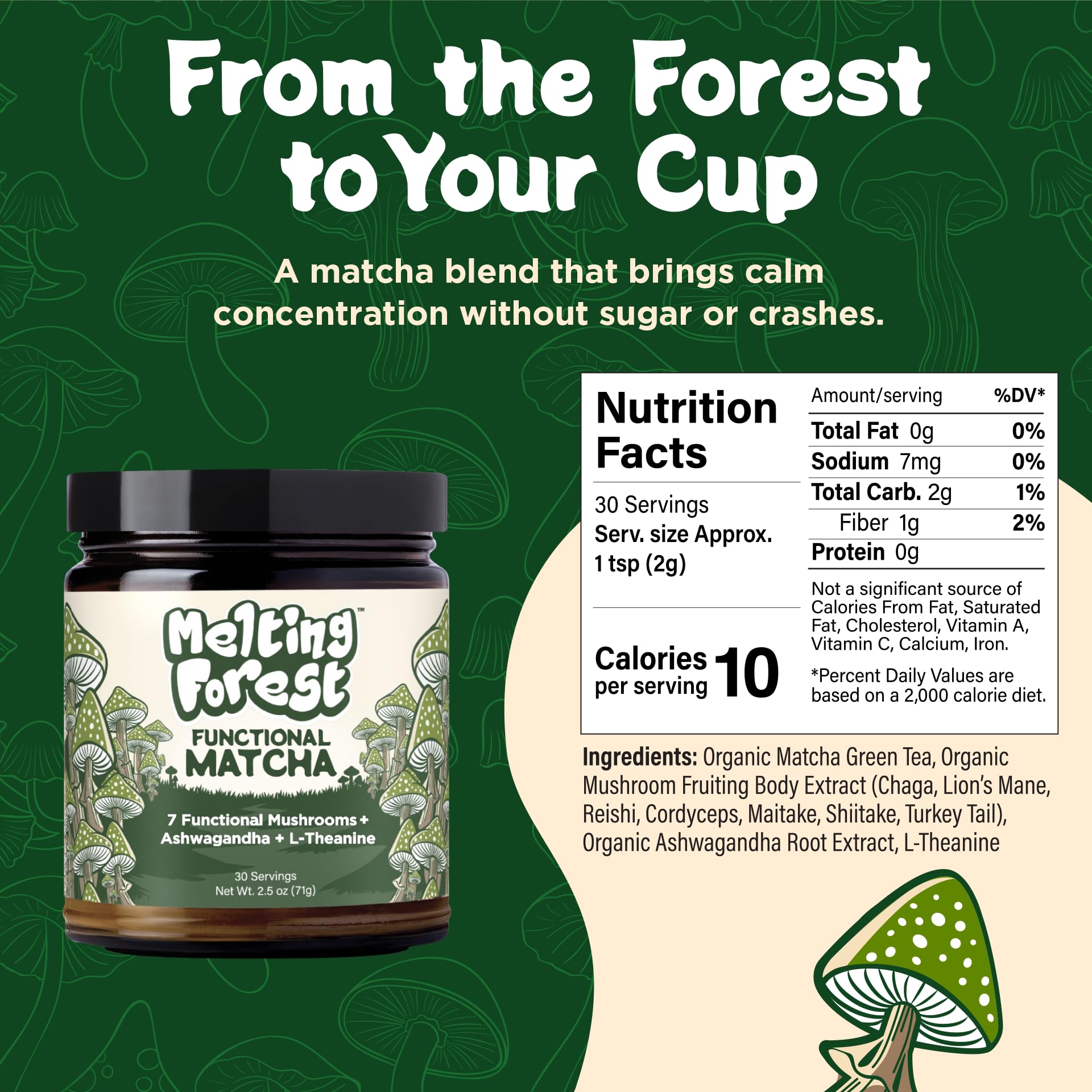 Melting Forest ingredient blend display of mushrooms and botanicals for balanced support