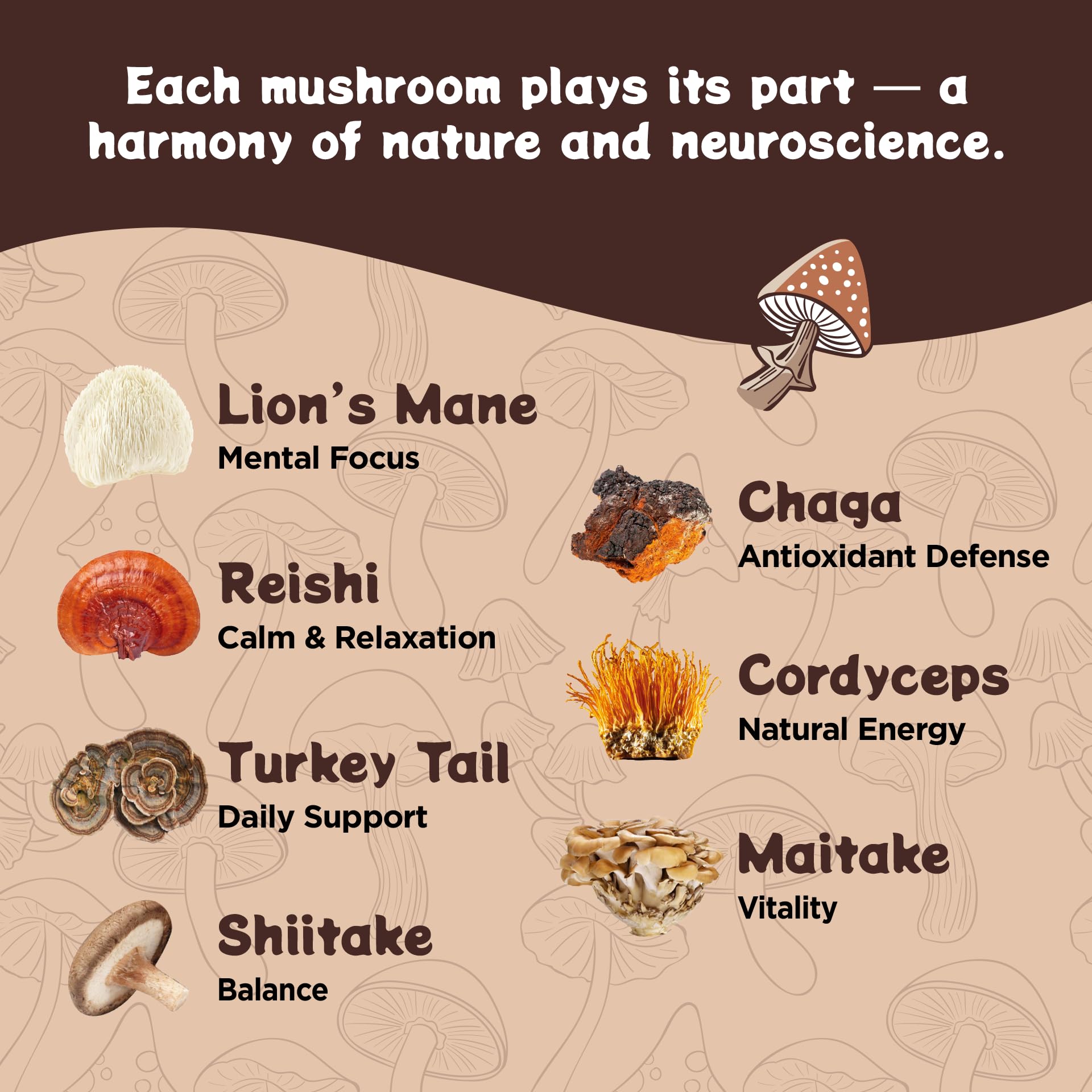 Melting Forest ingredient mix with mushrooms and adaptogens, highlighting antioxidant support