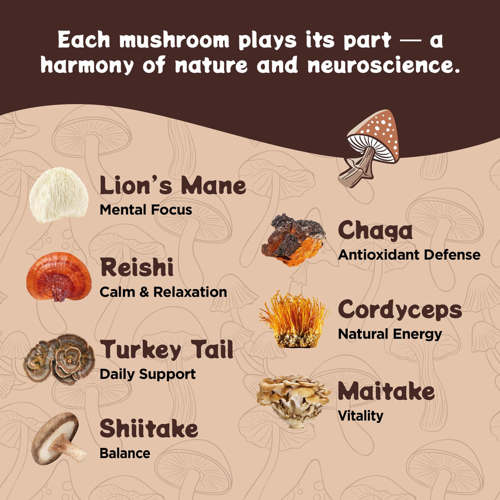 Melting Forest ingredient mix with mushrooms and adaptogens, highlighting antioxidant support