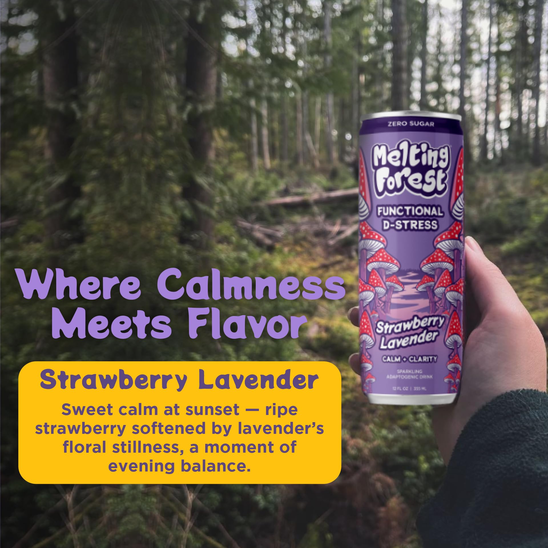 Melting Forest 12-pack display shot showing shelf-ready packaging and value